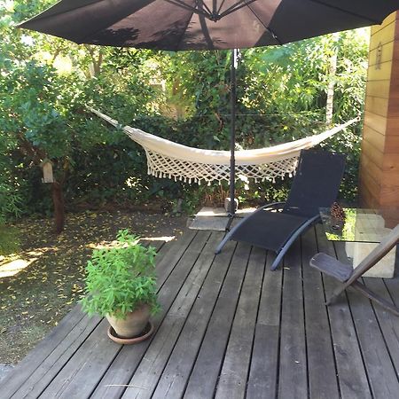 Chambre D'Hotes Du Clos Bamboo Mérignac Eksteriør billede